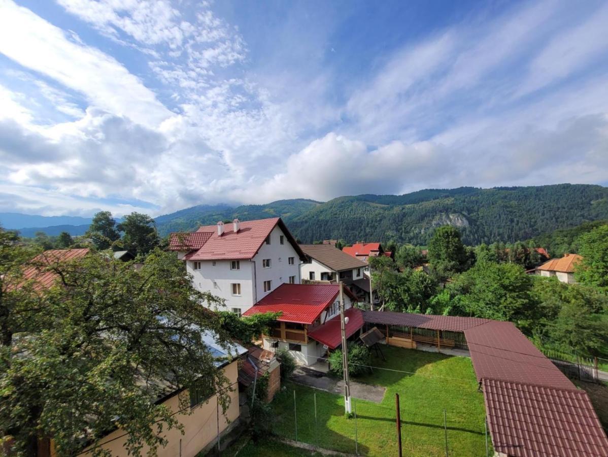 Vila Denisa Bran  Luaran gambar