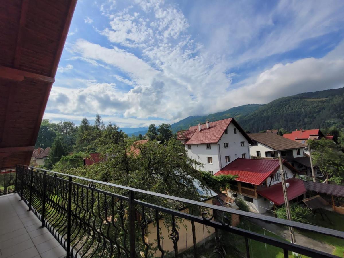 Vila Denisa Bran  Luaran gambar
